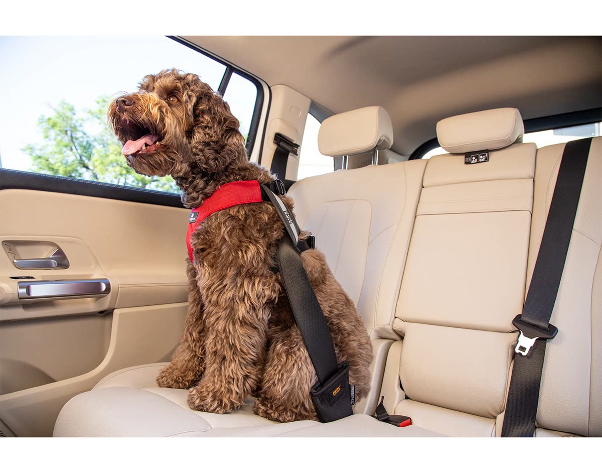 Sleepypod Clickit Sport crash-tested dog car harness