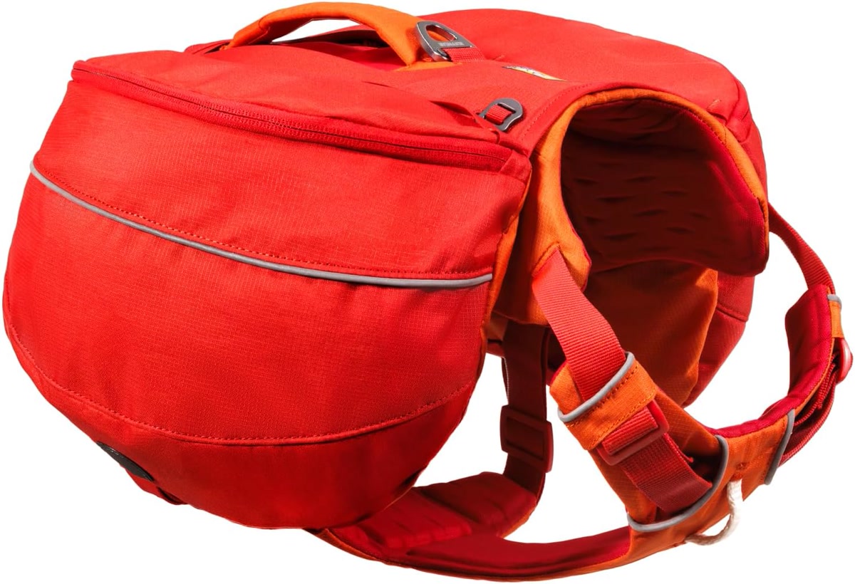 A dog wearing a hiking backpack walking ahead on a dirt trail through a pine forest with a backpacker following behind