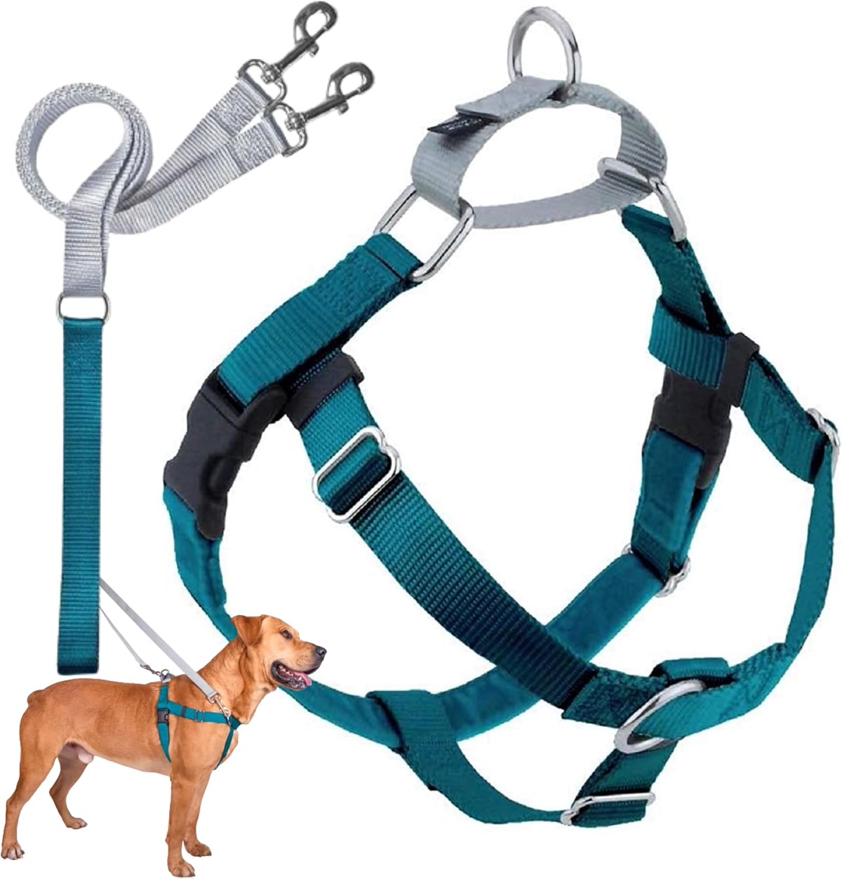 2 Hounds Design Freedom no-pull dog harness with Swiss velvet lining