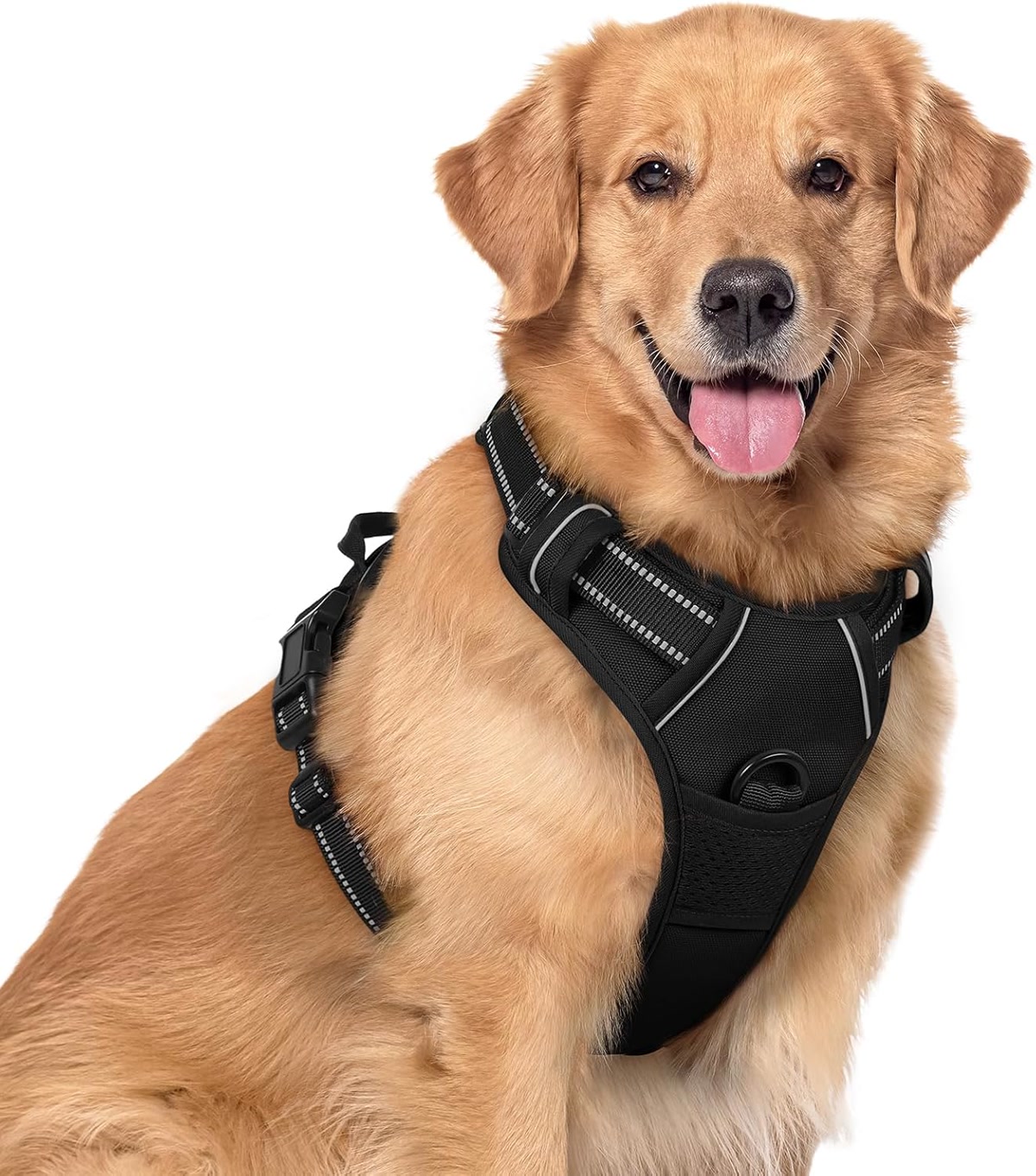 Rabbitgoo no-pull dog harness with dual leash clips and padded chest
