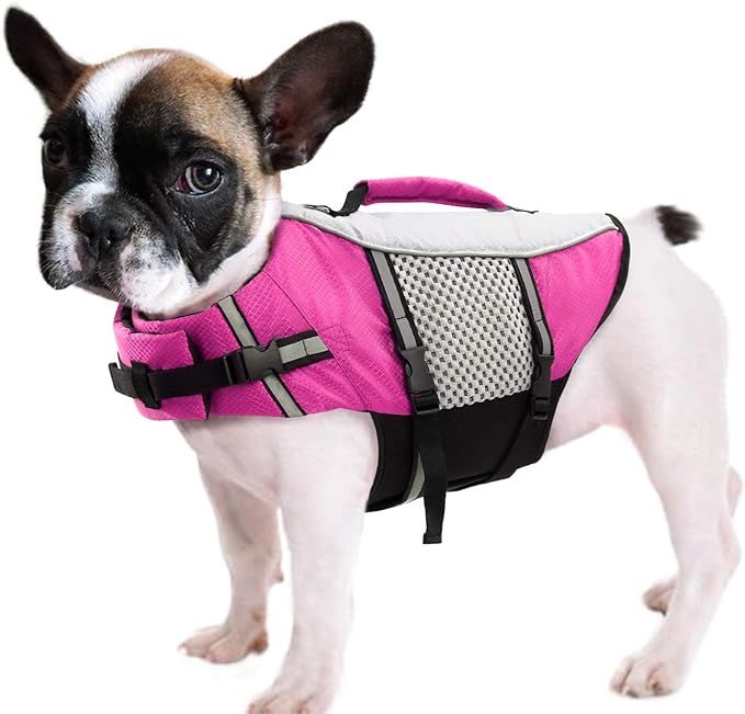 Neoprene dog life jacket swimming vest with reflective strips for small and medium dogs in cold water