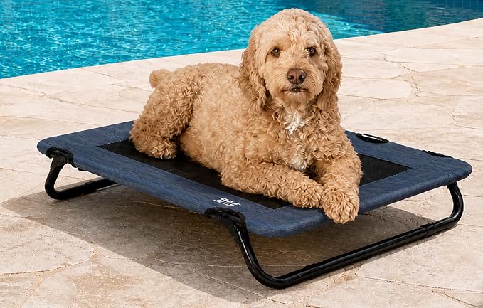 Pet Gear Lifestyle pet cot elevated bed 30 inch with cooling mesh no assembly required